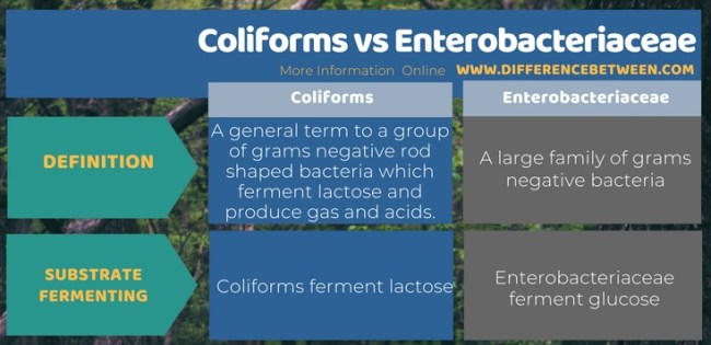 Coliform dan Enterobacteriaceae  dalam IPA, pengertian, perbedaan